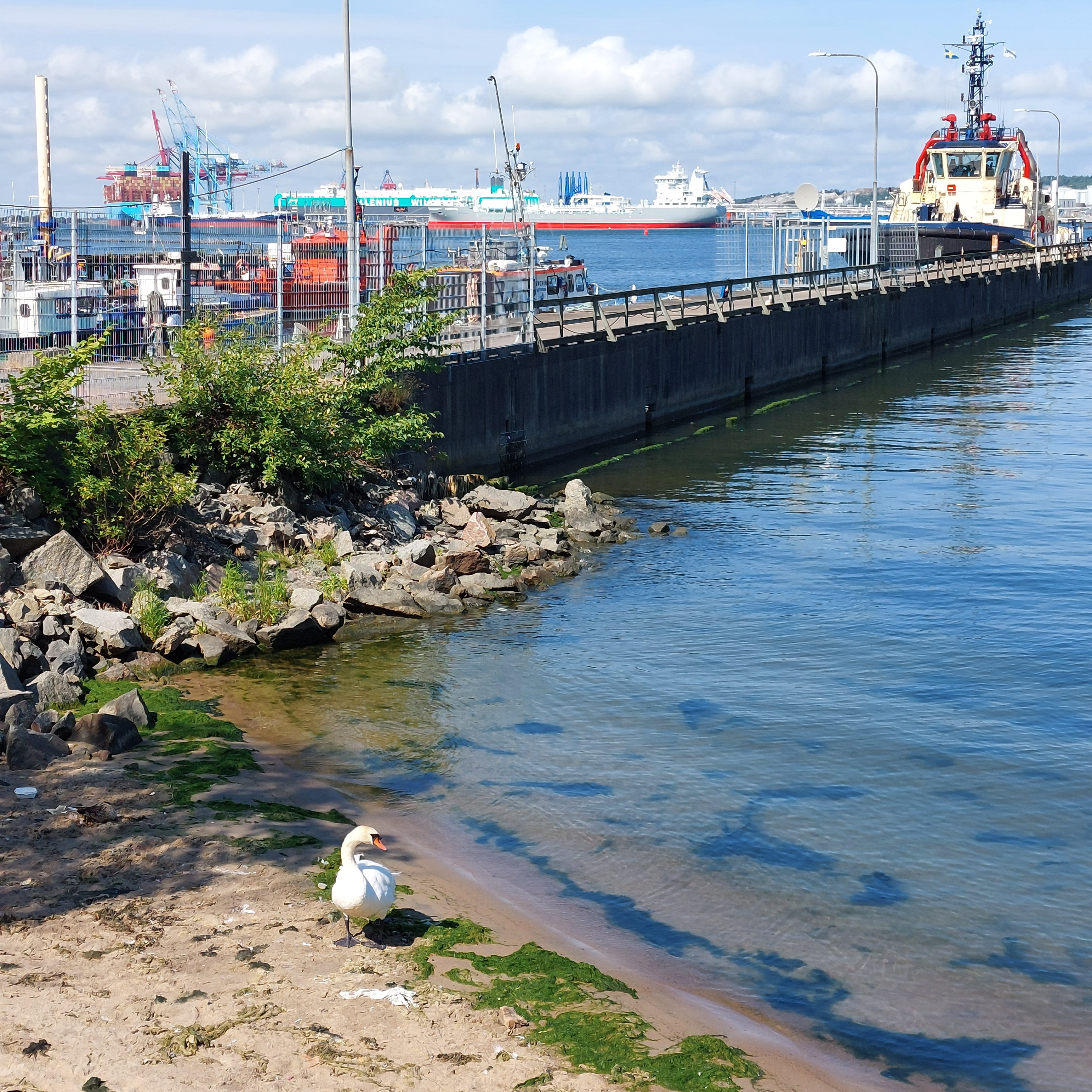 g�teborg